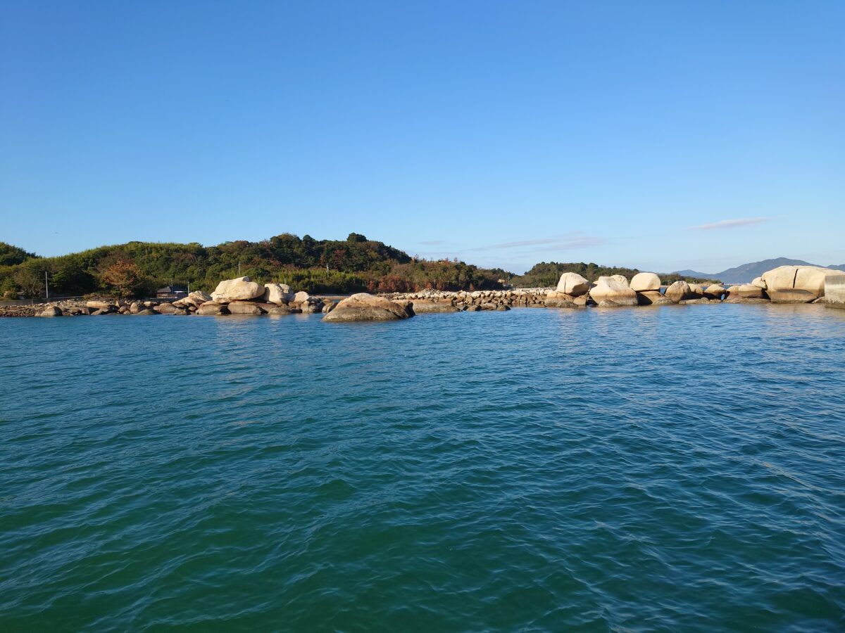 たま企画室 犬島石 自然石 景石