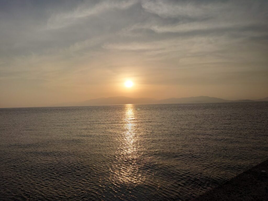 たま企画室 犬島石 自然石 景石