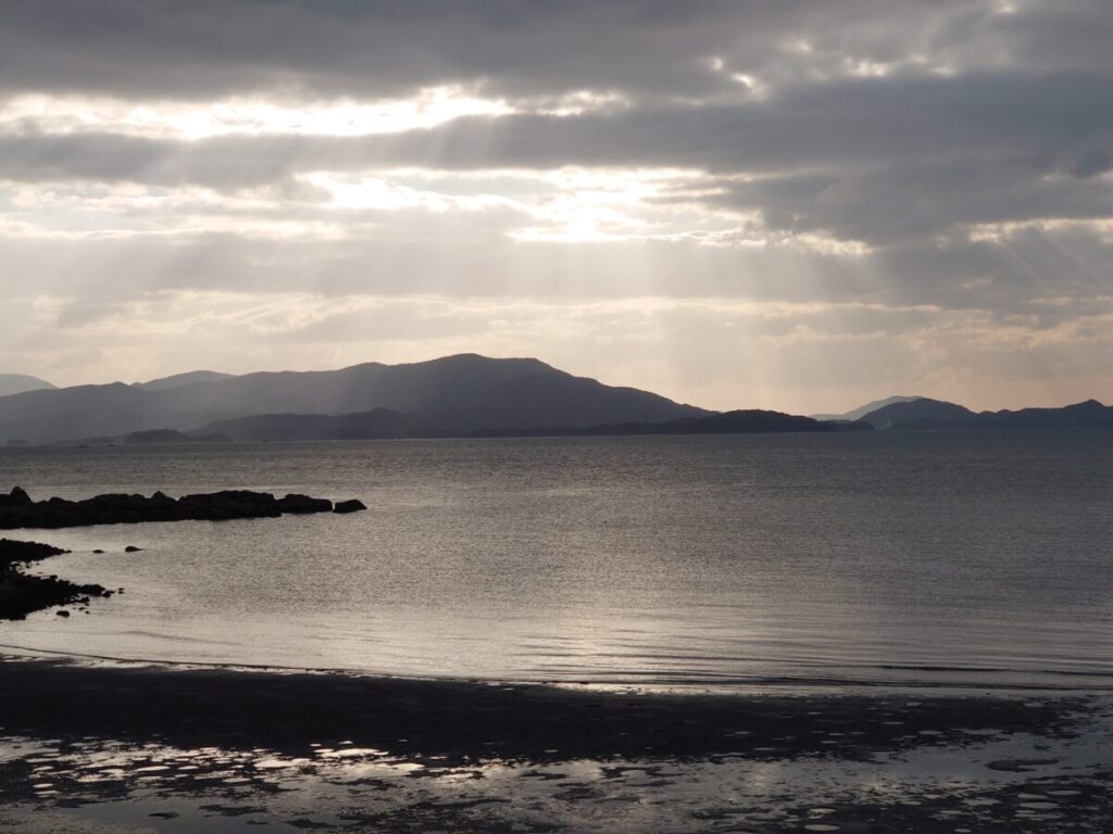 たま企画室 犬島石 自然石 景石